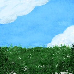 Fototapeta premium grass