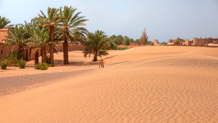 Sand dunes in the Sahara Desert, Merzouga, Morocco -  Beautiful sand dunes in the Sahara desert with amazing sunrise - Sahara, Morocco