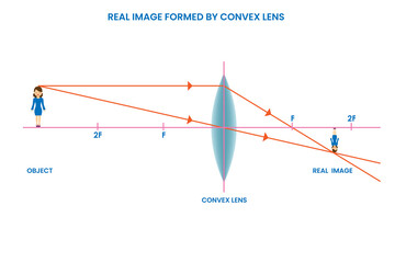 Convex lens forms real image,  Projectable, in front of lens, created by intersecting light rays