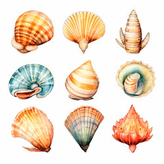Obraz premium shell set watercolor on a white background created with Generative Ai