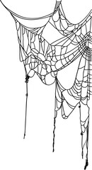 Halloween Scary Spider Web