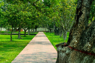 One of the best stretches of this road is called the straight deserted road