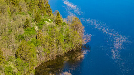 panoramic aerial view of the lake and the green meadow with buildings taken from a drone in summer