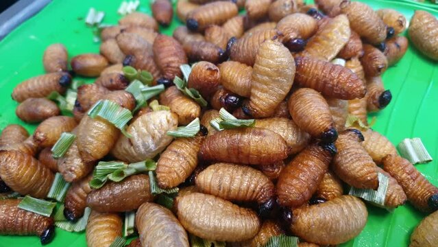 Larva palm worm weevil deep fried fat insect snack sell in Southeast Asia market exotic food