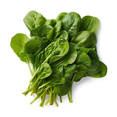 spinach leaves on a white background