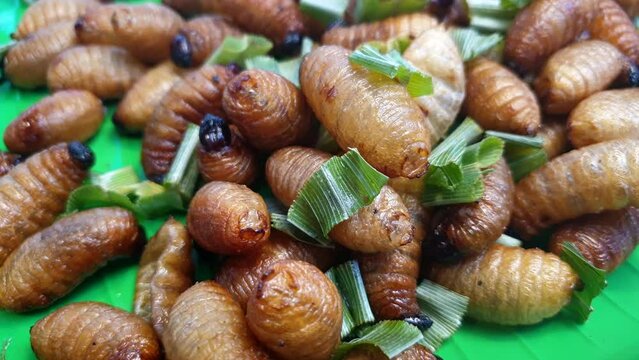 Larva palm worm weevil deep fried fat insect snack sell exotic food in Southeast Asia market