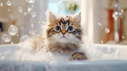 A kitten in the bathtub, with foam and water splashing