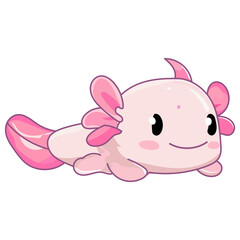axolotl amphibians cute vector character
