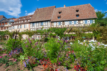 Fototapeta na wymiar Anpflanzung von Wildblumen vor den historischen Fachwerkhäuser am Quai Anselmann in der Altstadt von Wissembourg. Departement Bas-Rhin in der Region Elsass in Frankreich