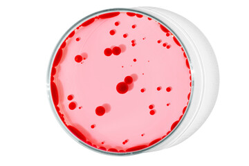 Petri dish isolated on empty background. Red drops, streaks, bacteria and molecules in a Petri dish.
