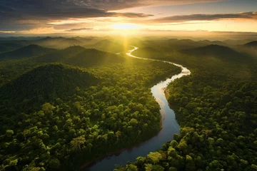 Foto op Aluminium Aerial view of the Amazonas jungle landscape with river bend © MaVeRa