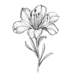 background Alstroemeria flower ai generated