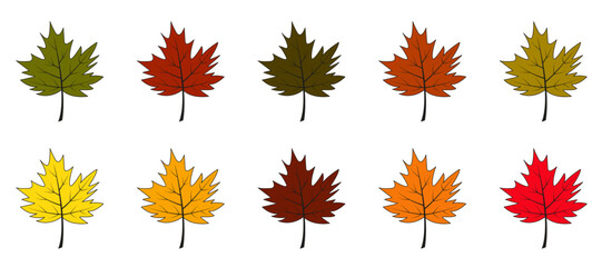 Autumn leaves vector set. Colorful and bright cartoon style. Maple leaves isolated on white background.