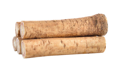 Fresh Burdock roots on transparent png
