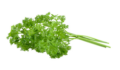 parsley isolated on transparent png