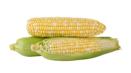 corn on transparent png