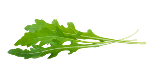 Sweet rucola salad or rocket lettuce leaves isolated on transparent png
