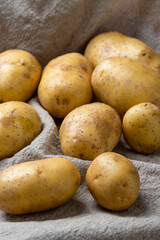 Washed potato tubers of a new crop on a coarse burlap fabric.