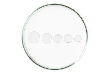 Petri dish isolated on empty background. A smear of a transparent gel, serum in a Petri dish.