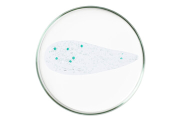 Petri dish isolated on empty background. A smear of a transparent gel, serum in a Petri dish.