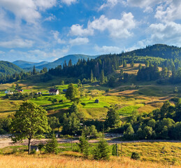 Summer mountain village landscape with flowering grassland in front