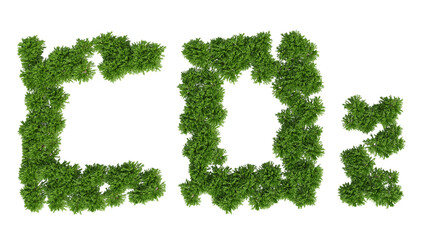 3D render eco sign text made from green tree