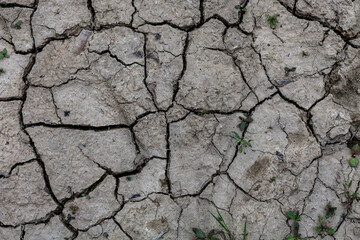 Dry soil during drought