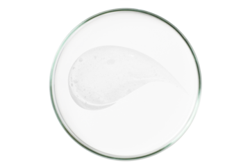 Petri dish isolated on empty background. A smear of a transparent gel, serum in a Petri dish.