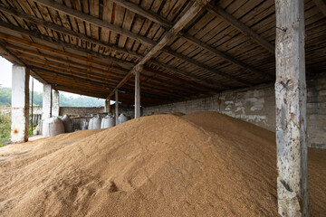 Fototapeta na wymiar Piles of wheat grains at mill storage or grain elevator. The main commodity group in the food markets