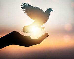 silhouette pigeon flying out of two hand and freedom concept