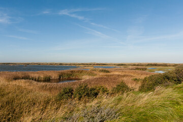 Getijdengebied, Tidal plains