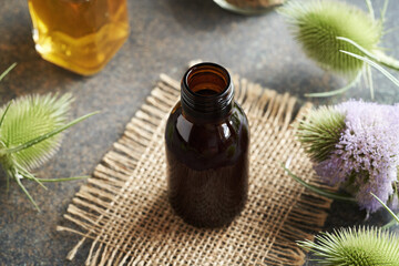 A bottle of tincture with fresh wild teasel flowers - herbal medicine