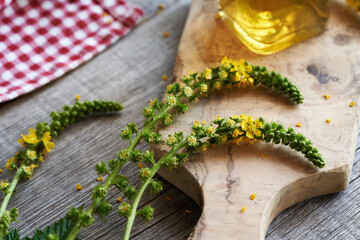 Fresh agrimony blossoms on a wooden table