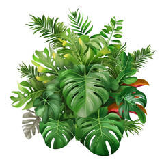 Tropical foliage plant bush (Monstera, palm leaves, and Bird's nest fern) floral arrangement indoors garden nature backdrop