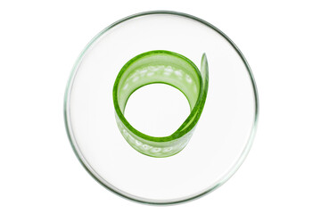 Petri dish isolated on empty background. Cucumber slices in a Petri dish.