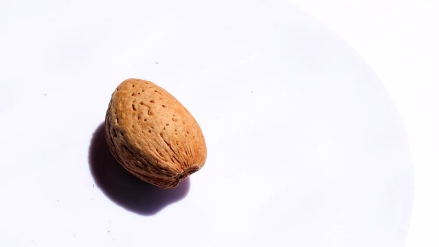 apricot kernel , rotation in circle. dried apricot kernels with Turning nut. selective focus. bright sun rays. hard shadows