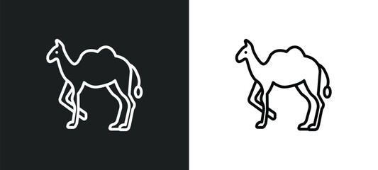 dromedary outline icon in white and black colors. dromedary flat vector icon from religion collection for web, mobile apps and ui.