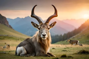 Photo sur Plexiglas Antilope Markhor in the mountains - Generative AI