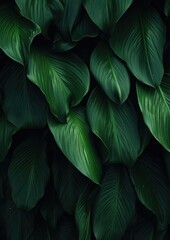 Abstract green leaf texture, nature background, tropical. Generative Ai.