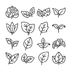 Set of leaf monoline vector