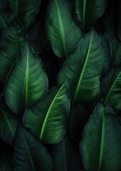 Abstract green leaf texture, nature background, tropical. Generative Ai.