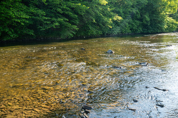 A River with low water level