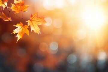 Naklejka na ściany i meble Yellow and orange leafs on soft autumn background, Generative AI