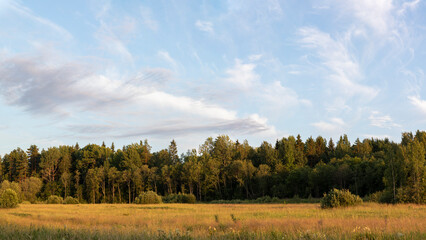 Panorama sunset landscape of forest and field. Farm outskirts.
