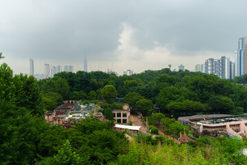 Obraz premium Urban landscape with many buildings beyond the park on a rainy day
