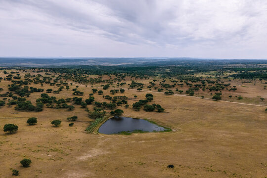 Aerial view of a pond in countryside along the Spanish and Portuguese border, Zebreira, Castel Branco, Portugal.