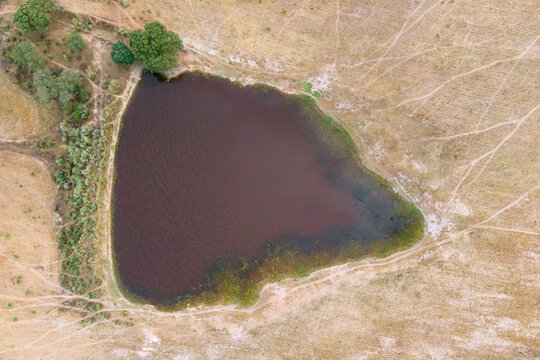 Aerial view of a pond in countryside along the Spanish and Portuguese border, Zebreira, Castel Branco, Portugal.
