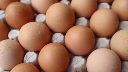 Chicken brown eggs in packing, the top view. Food, close up.