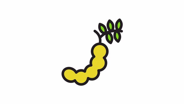 Tamarind, Fruits animated icon on transparent background.
