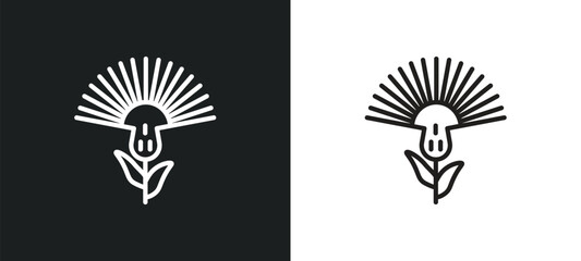 knapweed outline icon in white and black colors. knapweed flat vector icon from nature collection for web, mobile apps and ui. - obrazy, fototapety, plakaty